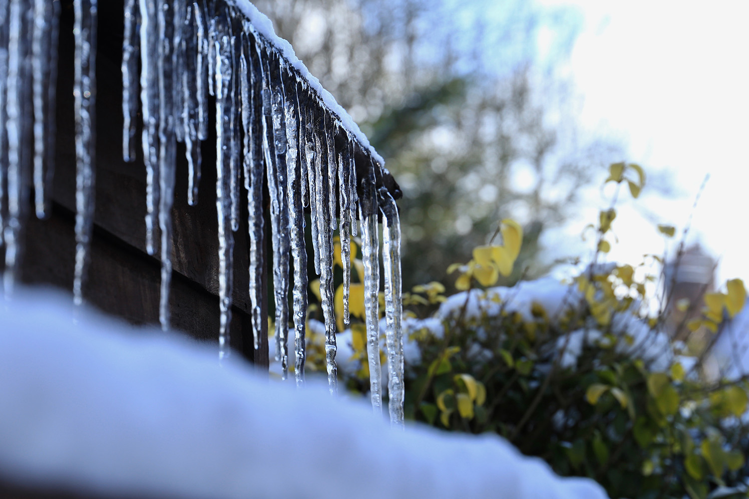 Icicles